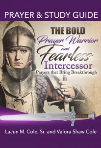 intercessor fearless